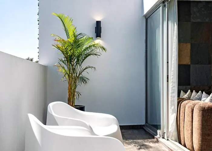 4br For 10 Terrace Living In Roma Norte * México DF